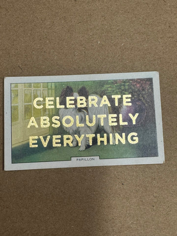 CELEBRATE ABSOLUTELY EVERYTHING