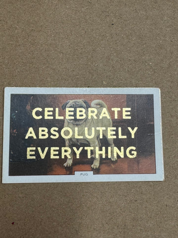 CELEBRATE ABSOLUTELY EVERYTHING
