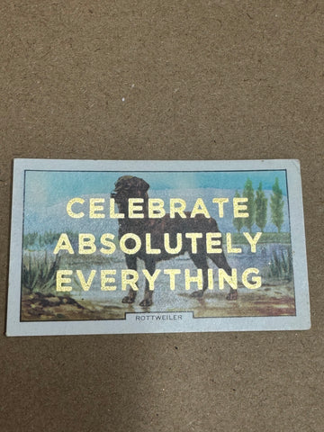 CELEBRATE ABSOLUTELY EVERYTHING