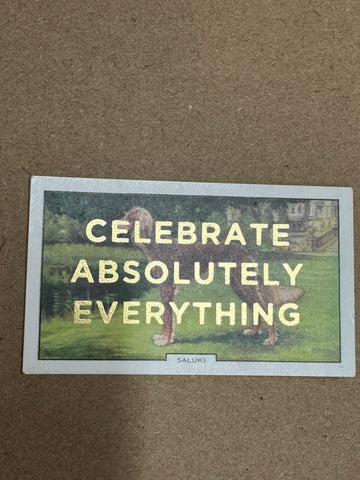 CELEBRATE ABSOLUTELY EVERYTHING