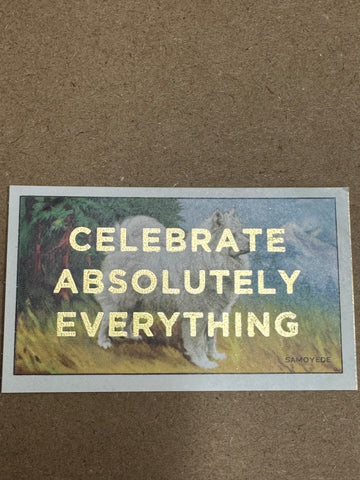 CELEBRATE ABSOLUTELY EVERYTHING