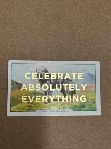 CELEBRATE ABSOLUTELY EVERYTHING