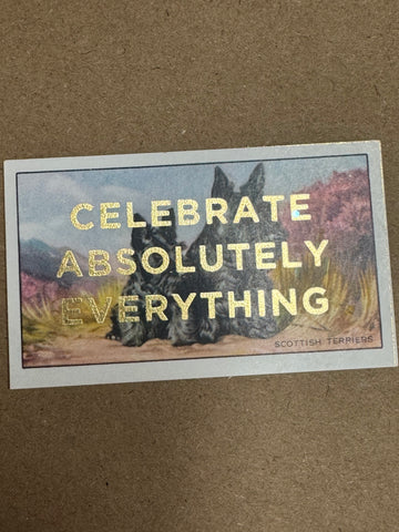 CELEBRATE ABSOLUTELY EVERYTHING