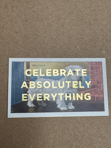 CELEBRATE ABSOLUTELY EVERYTHING