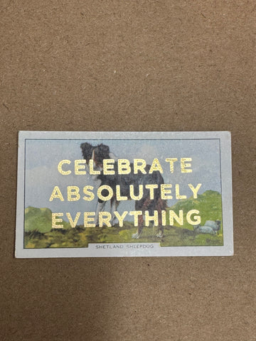 CELEBRATE ABSOLUTELY EVERYTHING