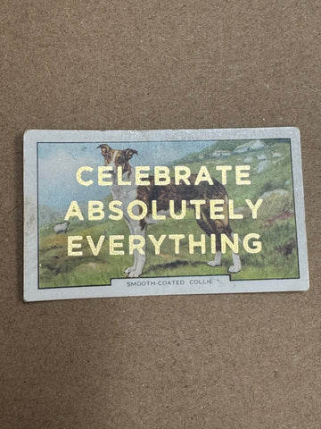 CELEBRATE ABSOLUTELY EVERYTHING