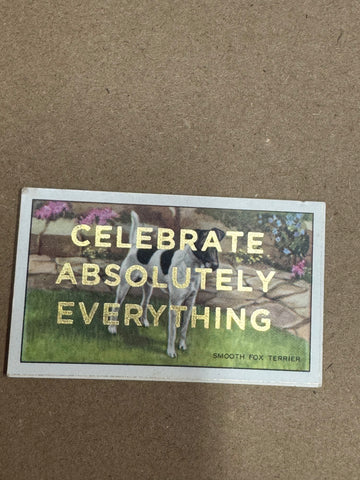CELEBRATE ABSOLUTELY EVERYTHING