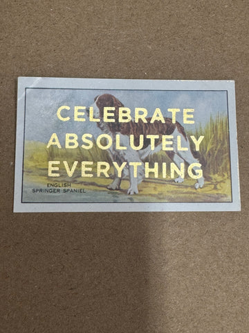 CELEBRATE ABSOLUTELY EVERYTHING