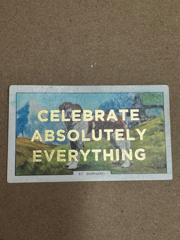 CELEBRATE ABSOLUTELY EVERYTHING