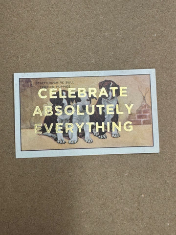 CELEBRATE ABSOLUTELY EVERYTHING