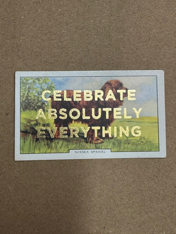 CELEBRATE ABSOLUTELY EVERYTHING