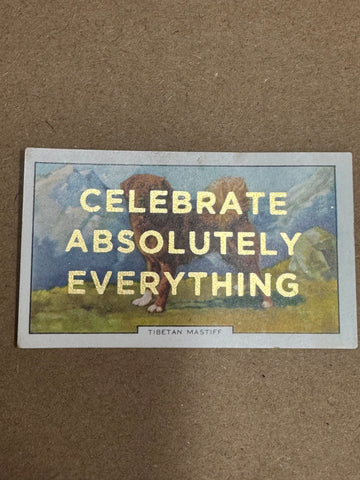 CELEBRATE ABSOLUTELY EVERYTHING