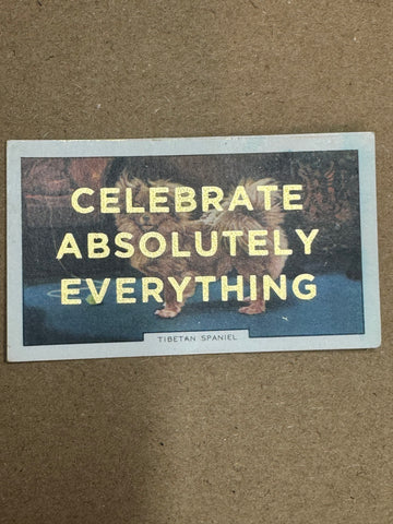 CELEBRATE ABSOLUTELY EVERYTHING
