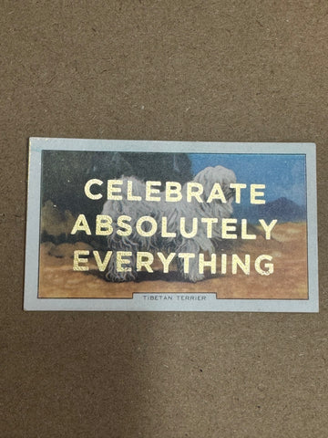 CELEBRATE ABSOLUTELY EVERYTHING