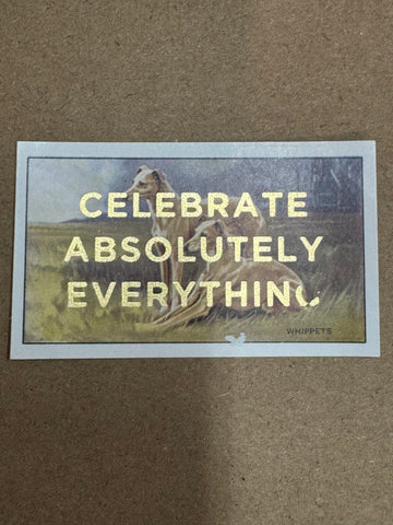CELEBRATE ABSOLUTELY EVERYTHING
