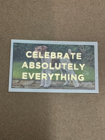 CELEBRATE ABSOLUTELY EVERYTHING