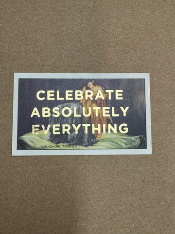 CELEBRATE ABSOLUTELY EVERYTHING